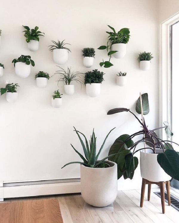 Cachepot de parede para plantas pequenas