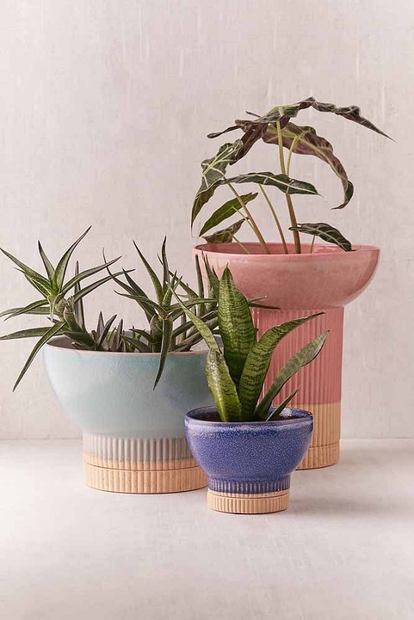 Cachepot para plantas com vaso de cimento 