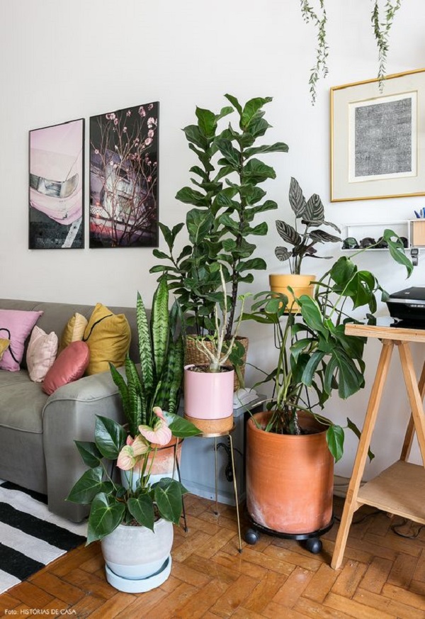 Sala de estar com cachepot para plantas colorido