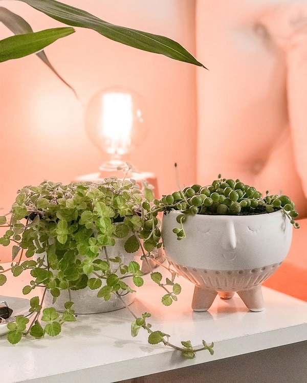 Planta Artificial para Sala: +60 Ideias Incríveis para Transformar sua  Decoração