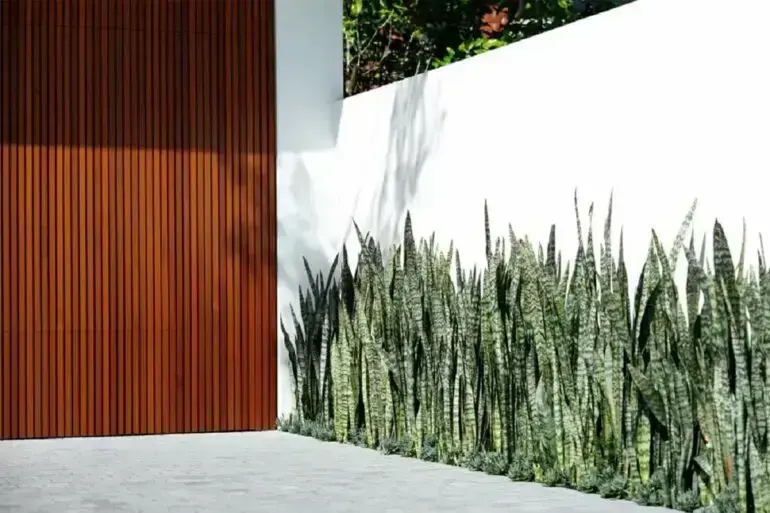 Conheça diversas plantas para canteiro de muro. Fonte: Tudo Jardim