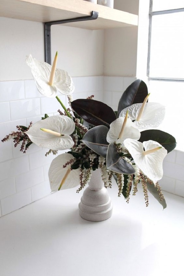  Vaso de anturio branco para decoração da sala