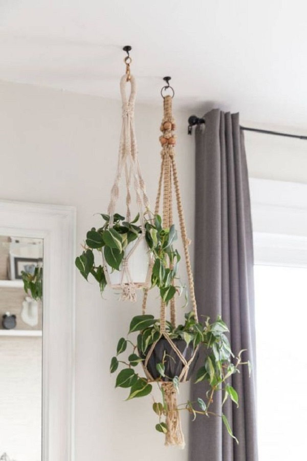 Vaso de plantas como itens de decoração para sala de estar