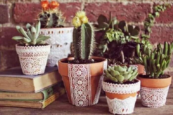 Vasos de cerâmica com planta cacto pequeno