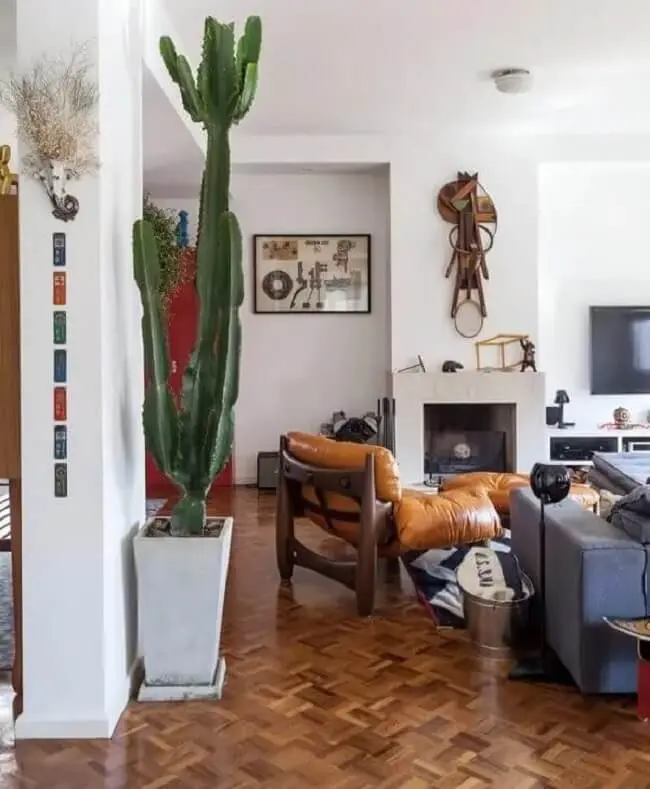 O cacto grande e exótico e se destacam na decoração de sala de estar