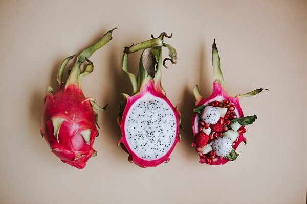 Há como plantar pitaya no vaso para produzir em 3 meses